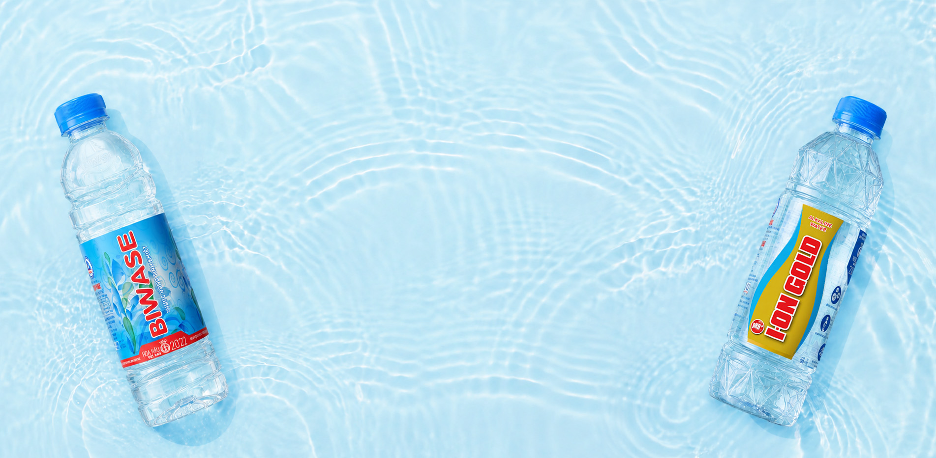 bia web